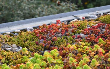 the cost of Prestbury green roof installation
